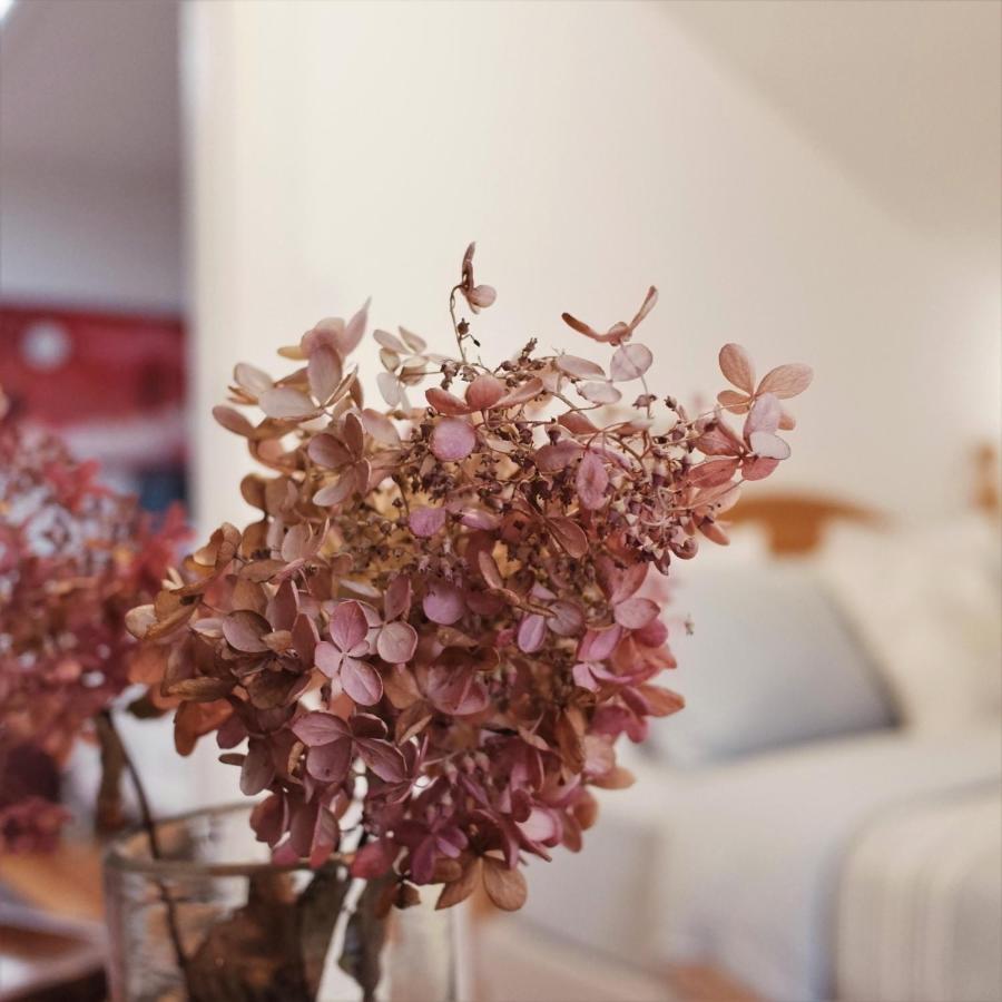 Guest house De La Visitation *